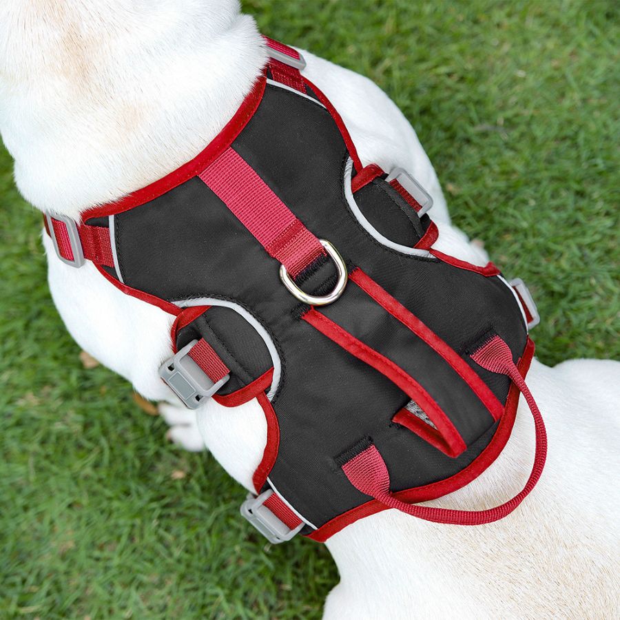 Flexible Dog Harness